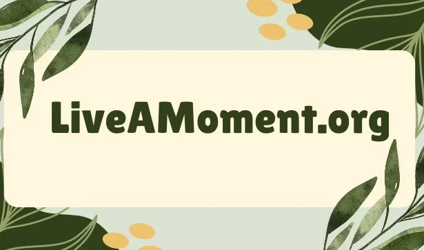 liveamoment.org